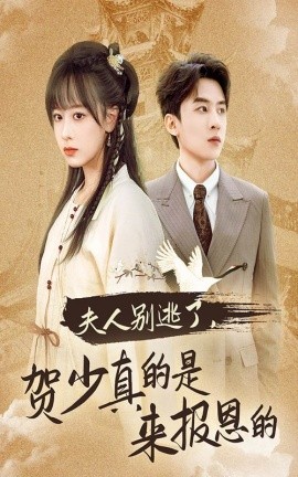 夫人别逃了，贺少真的是来报恩的 (2024)-58创客网