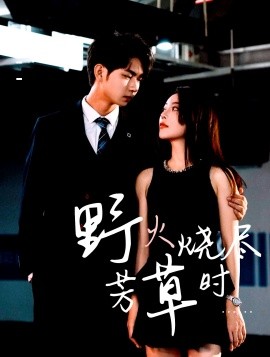 野火烧尽芳草时（65集）黄垚＆闫妍 (2025)-58创客网