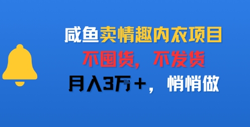 咸鱼卖情趣内衣项目，不囤货，不发货，月入3W+，悄悄做-58创客网