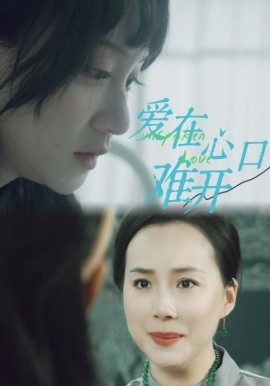 爱你在心口难开 (2024)-58创客网