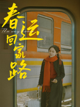 春运回家路 (2025)-58创客网