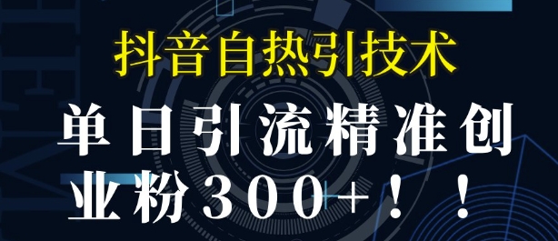 抖音自热引流，单日引流精准创业粉300+-58创客网