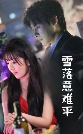 雪落意难平 (2025)-58创客网