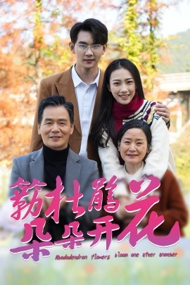 簕杜鹃花朵朵开 (2025)-58创客网