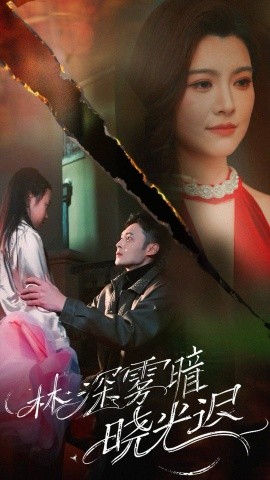 林深雾暗晓光迟（50集）陈孟奇 (2025)-58创客网