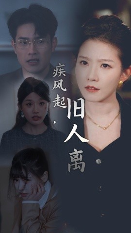 疾风起旧人离 (2025)-58创客网