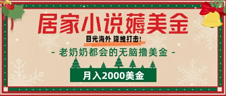 居家小说薅美金，拆解海外撸美金项目月入2000美刀详细指导-58创客网