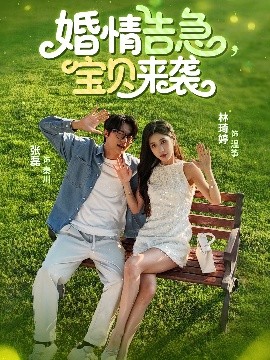 婚情告急宝贝来袭（77集）张磊&林琦婷 (2025)-58创客网