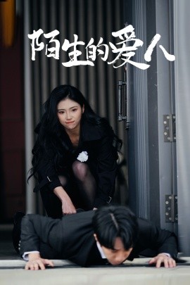 陌生的爱人（60集）骆虹宇 (2025)-58创客网
