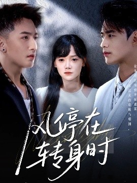 风停在转身时（72集）黄小再＆秦远 (2025)-58创客网