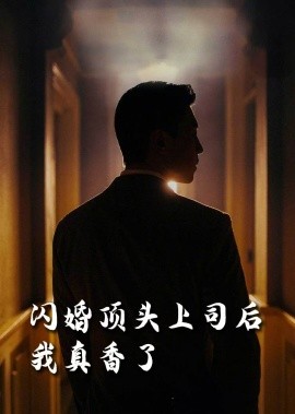 闪婚顶头上司后，我真香了（80集）潘悦铭&刘星辰&攒攒&袁颖 (2025)-58创客网