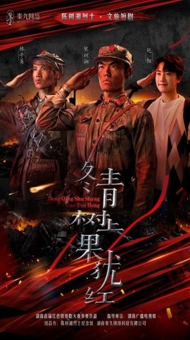 冬青树上果犹红（9集）张懋&夏天琪 (2025)-58创客网