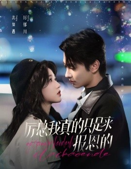 厉总我真的只是来报恩的 (2024)-58创客网