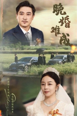 晚婚难成（60集）孔智盈&路思奇 (2025)-58创客网