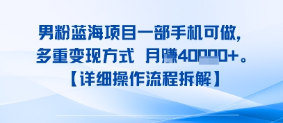 8月新男粉蓝海项目一部手机可做，多重变现方式 月入4W+【详细操作流程拆解】-58创客网