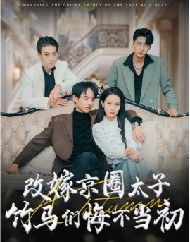 改嫁京圈太子竹马们悔不当初 (2024)-58创客网