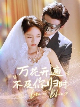 万花开遍不及你归时 (2024)-58创客网