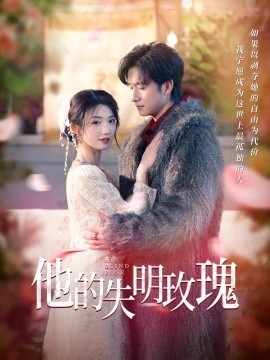 他的失明玫瑰（70集）王彬茗&陈明 (2025)-58创客网