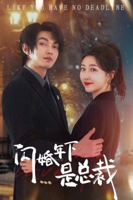 闪婚年下是总裁 (2024)-58创客网