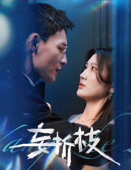 妄折枝（53集）冯铭潮＆杨珊子 (2025)-58创客网