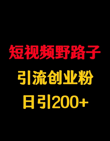 短视频野路子引流创业粉，日引200+-58创客网