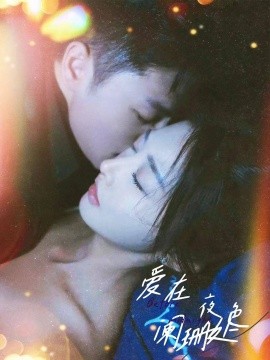 爱在夜色阑珊处 (2024)-58创客网