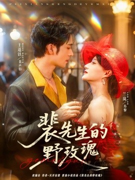 裴先生的野玫瑰（72集）兰岚&王道铁 (2025)-58创客网