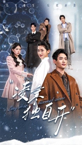 凌寒独自开 (2025)-58创客网