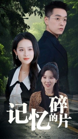 记忆的碎片 (2025)-58创客网