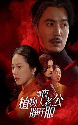 二婚夜植物人老公睁开眼 (2025)-58创客网