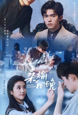 桑榆向晚 (2024)-58创客网
