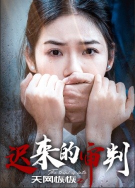 天网恢恢之迟来的审判 (2024)-58创客网