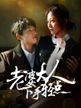 老婆大人下手轻点（30集）(2025)-58创客网