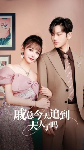 戚总今天追到夫人了吗 (2024)-58创客网