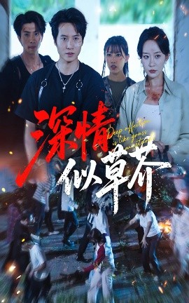 深情似草芥（51集）源鑫&王瀚迎 (2025)-58创客网