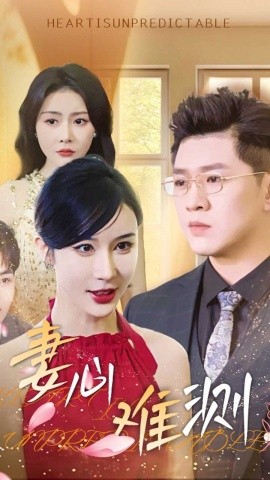 妻心难测（33集）林彤 (2025)-58创客网