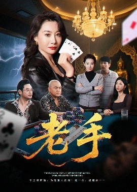 老手（36集）王圻嘉&袁珉 (2025)-58创客网