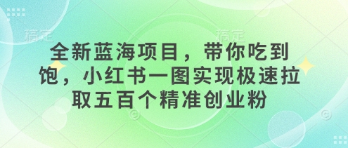 全新蓝海项目，带你吃到饱，小红书一图实现极速拉取五百个精准创业粉-58创客网