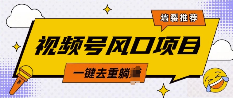 视频号风口蓝海项目，中老年人的流量密码，简单无脑，一键去重，轻松月入过W-58创客网