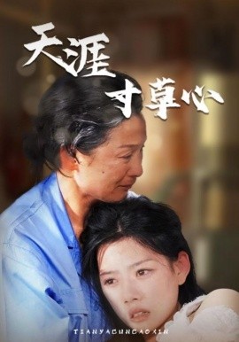 天涯寸草心 (2024)-58创客网