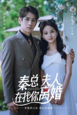 秦总夫人在找你离婚 (2024)-58创客网