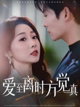 爱至离时方觉真 (2025)-58创客网