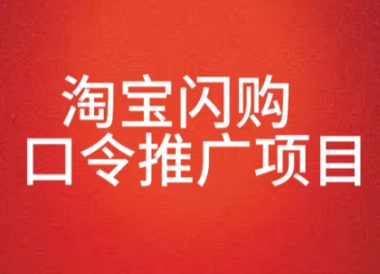 淘宝闪购口令推广项目，收益可观，一部手机，一个抖音号即可操作-58创客网