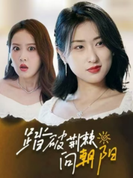 踏破荆棘向朝阳（80集）(2025)-58创客网