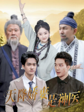 天降娇妻是神医（69集）(2025)-58创客网