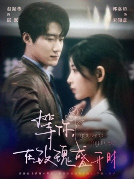 等你在玫瑰盛开时（80集）赵振栋&郭嘉语 (2025)-58创客网