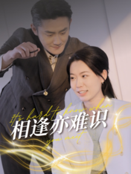 相逢亦难识 (2025)-58创客网