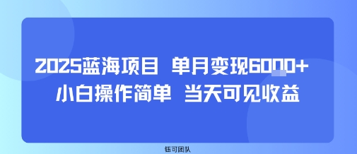 2025蓝海项目 单月变现6k+ 小白操作简单 当天可见收益-58创客网