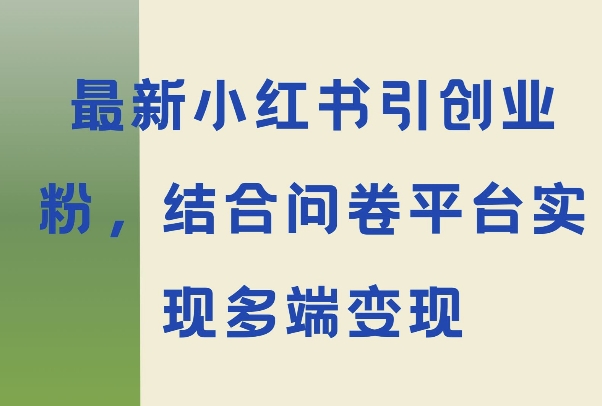 最新小红书引大学生创业粉，结合问卷平台实现多端变现-多米联创