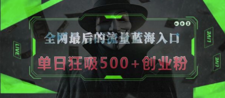 全网最后的流量蓝海入口，半小时引流50+创业粉，单日狂吸500+创业粉-多米联创